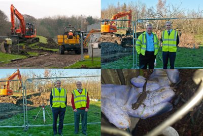 Breaking Ground and Great Crested Newt